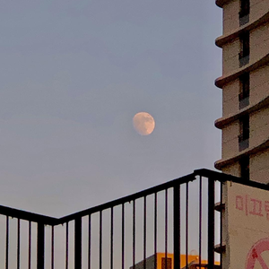 男人与老妓女人做爱
